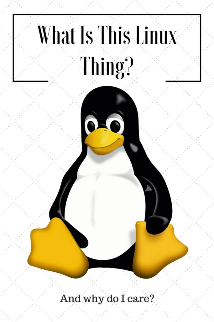 What Is This LinuxThing, Anyway?